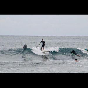 Meet your Posher, Jake